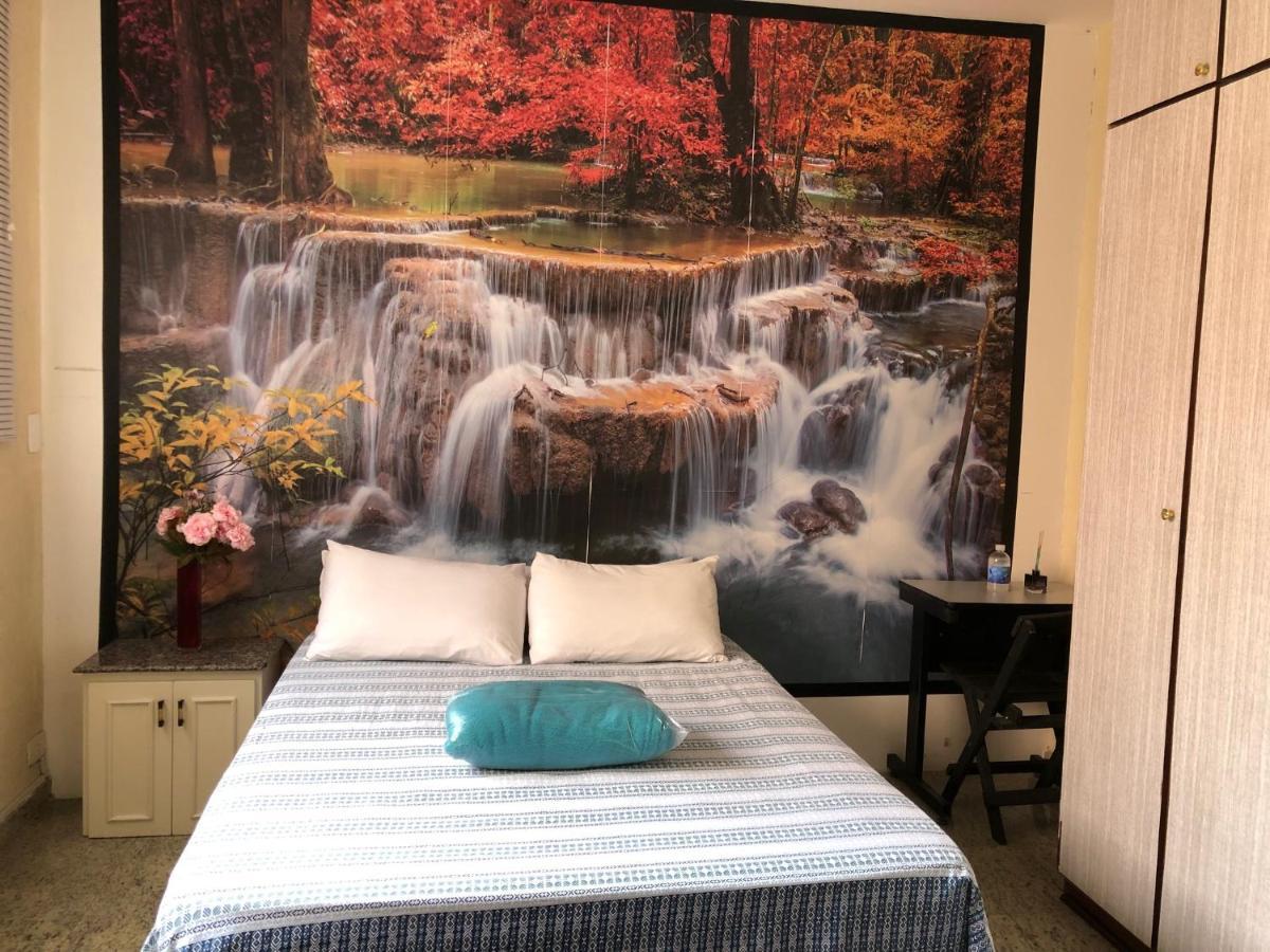 Zen Garden Hostel Mirandopolis サンパウロ エクステリア 写真